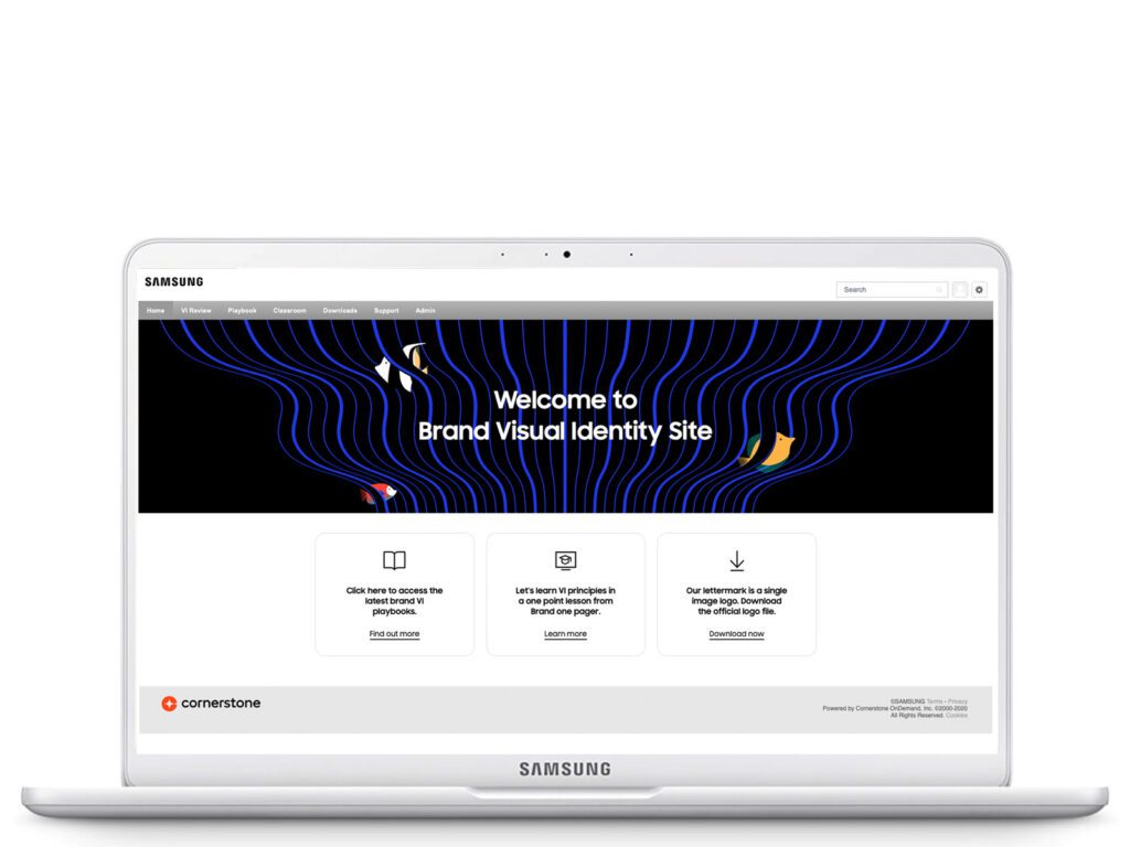 SAMSUNG VI REVIEW